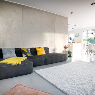 Offenes Modernes Wohnzimmer mit grauer Wandfarbe, Betonboden und grauem Boden in Sonstige