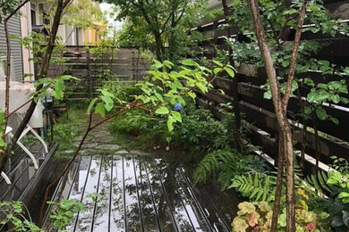 Garden in Tokyo Suburbs.