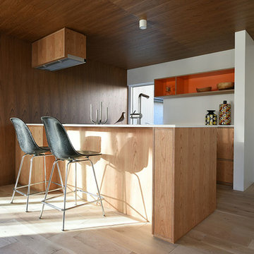 Case Study House #63 M House