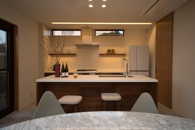 他の地域にあるミッドセンチュリースタイルのおしゃれなキッチン (シングルシンク、白い調理設備) の写真