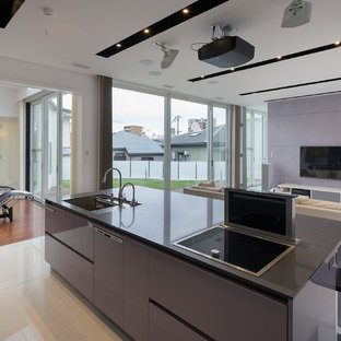 Contemporary open concept kitchen designs - Inspiration for a contemporary galley open concept kitchen remodel in Osaka with an undermount sink, flat-panel cabinets, purple cabinets, black appliances and an island
