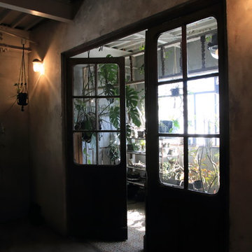 アンティークと植物の部屋。
