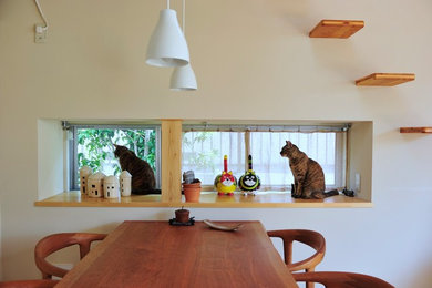 猫と暮らす家