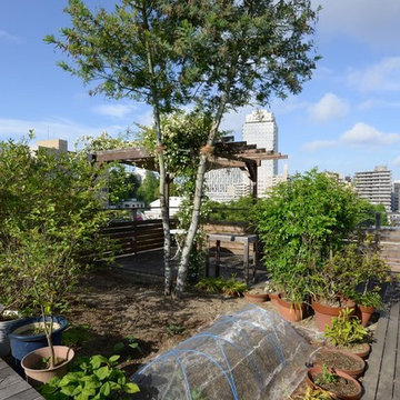 Rooftop Garden in May 5月の屋上庭園