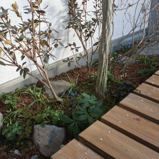 Esempio di un patio o portico scandinavo di medie dimensioni e in cortile con pedane e nessuna copertura