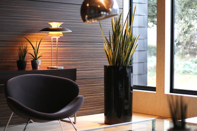Cette image montre un salon minimaliste avec un mur marron, un sol en calcaire, aucune cheminée et un téléviseur indépendant.