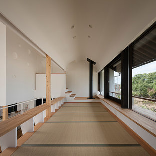 Ispirazione per un soggiorno etnico con pareti bianche, pavimento in tatami e pavimento verde