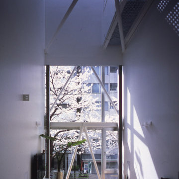 主室より桜並木を見る。8Mの吹抜を持つ。　View of cherry blossom trees from the main room.Eight meter