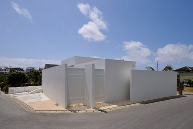 Diseño de fachada blanca de una planta con revestimiento de hormigón y tejado plano