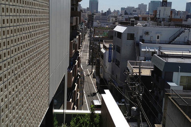 東京23区にあるモダンスタイルのおしゃれな家の外観 (レンガサイディング、緑化屋根) の写真