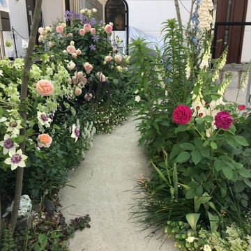 バラの小径のある庭。