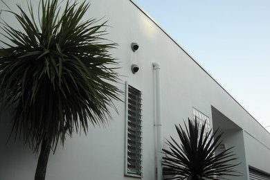 他の地域にあるミッドセンチュリースタイルのおしゃれな家の外観 (コンクリート繊維板サイディング) の写真