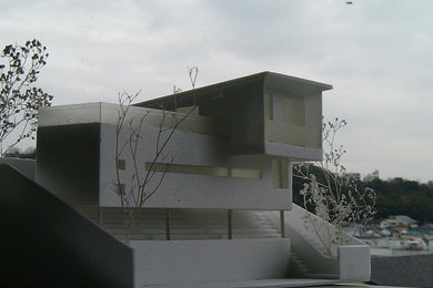 Modelo de fachada de casa gris moderna de tamaño medio de dos plantas con revestimientos combinados, tejado de un solo tendido y tejado de metal