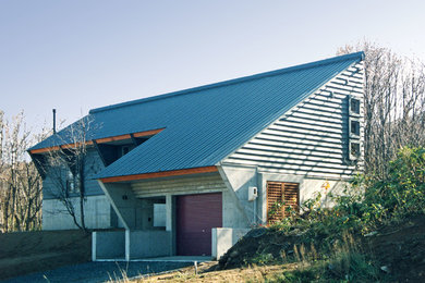 Diseño de fachada gris actual con revestimiento de hormigón y tejado de un solo tendido