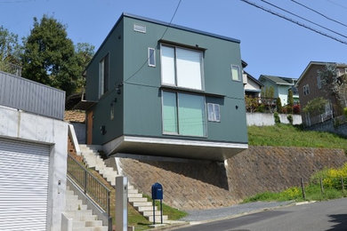 Ispirazione per la casa con tetto a falda unica verde moderno a due piani