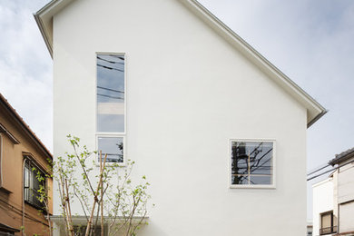 Imagen de fachada blanca contemporánea con tejado a dos aguas