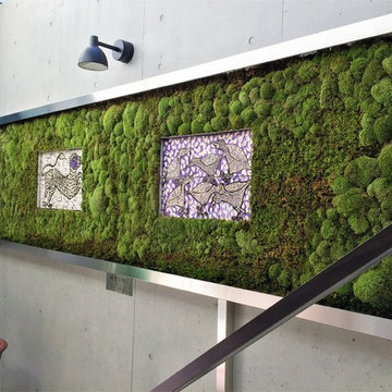 moss frame project