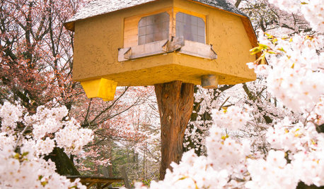 桜を愛でる、美しい日本の家