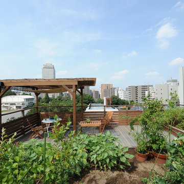 Urban Rooftop Garden　屋上庭園
