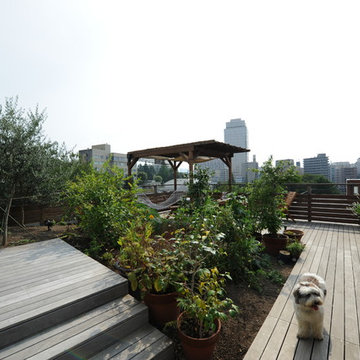 Urban Rooftop Garden　屋上庭園
