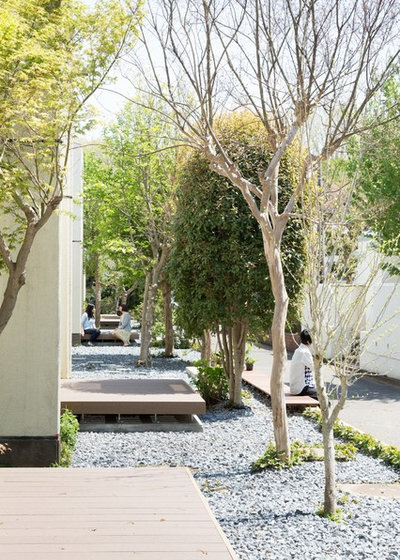 Contemporáneo Jardín by 成瀬・猪熊建築設計事務所 一級建築士事務所