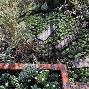 世田谷区　起伏のあるナチュナルガーデン　植物で埋まるお庭