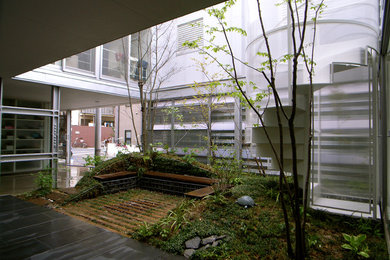 東京23区にあるトロピカルスタイルのおしゃれな庭の写真