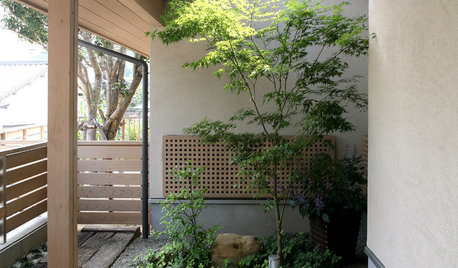 狭い庭も緑豊かな空間に。おすすめの植物と庭づくりのポイント