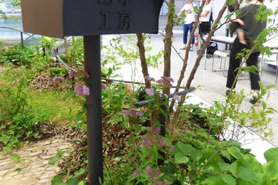 東京23区にある小さな、春のおしゃれな前庭 (日向、天然石敷き) の写真