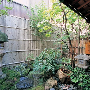 庭の歴史を感じさせる古竹