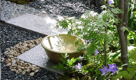 Японский чайный сад: Как создать его самостоятельно
