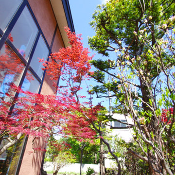 札幌市中央区 「窓庭/流れる苔」