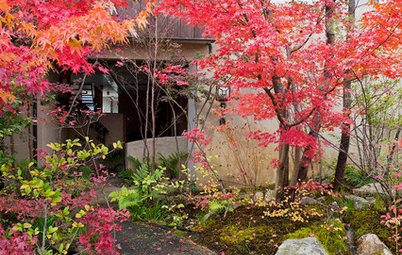 専門家が教える、紅葉を楽しめる庭のつくり方