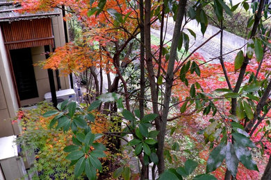 名古屋にある和風のおしゃれな庭の写真
