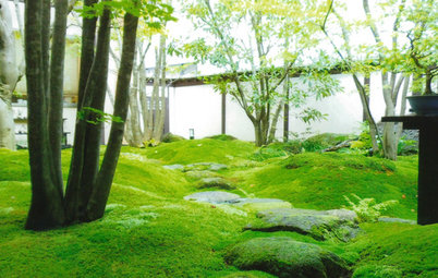 Innehalten: Eine Einführung in die Kunst des japanischen Teehausgartens