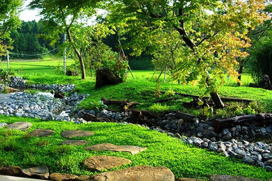 他の地域にあるお手頃価格の広いカントリー風のおしゃれな庭 (池、日向、天然石敷き) の写真