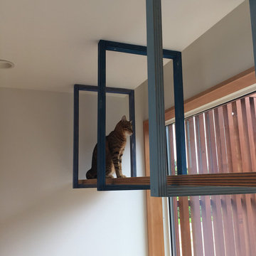 猫と暮らす中庭のある家