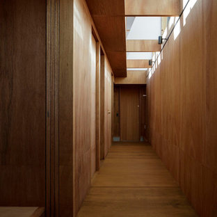 Inredning av en modern liten hall, med bruna väggar, plywoodgolv och brunt golv