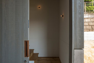 Imagen de entrada nórdica con suelo de madera en tonos medios, puerta corredera y puerta gris