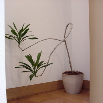Plants.L