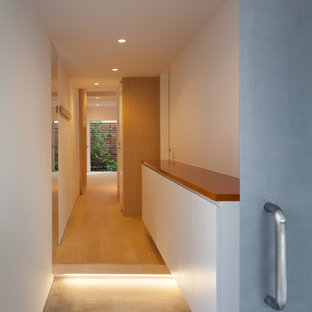 Exemple d'une porte d'entrée moderne avec un mur blanc, un sol en contreplaqué, une porte coulissante, une porte métallisée et un sol beige.