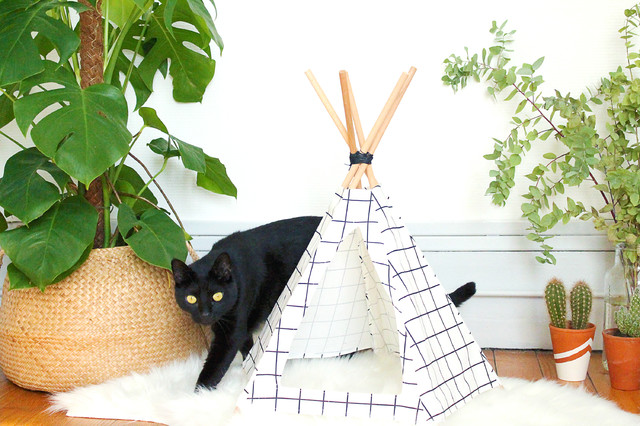 Tipi pour chat maison : voici comment le fabriquer avec du tissu et des  baguettes en bois