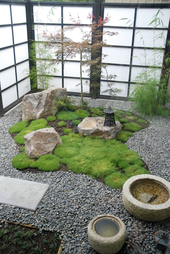 Small asian courtyard garden in Hamilton with a water feature and gravel.
