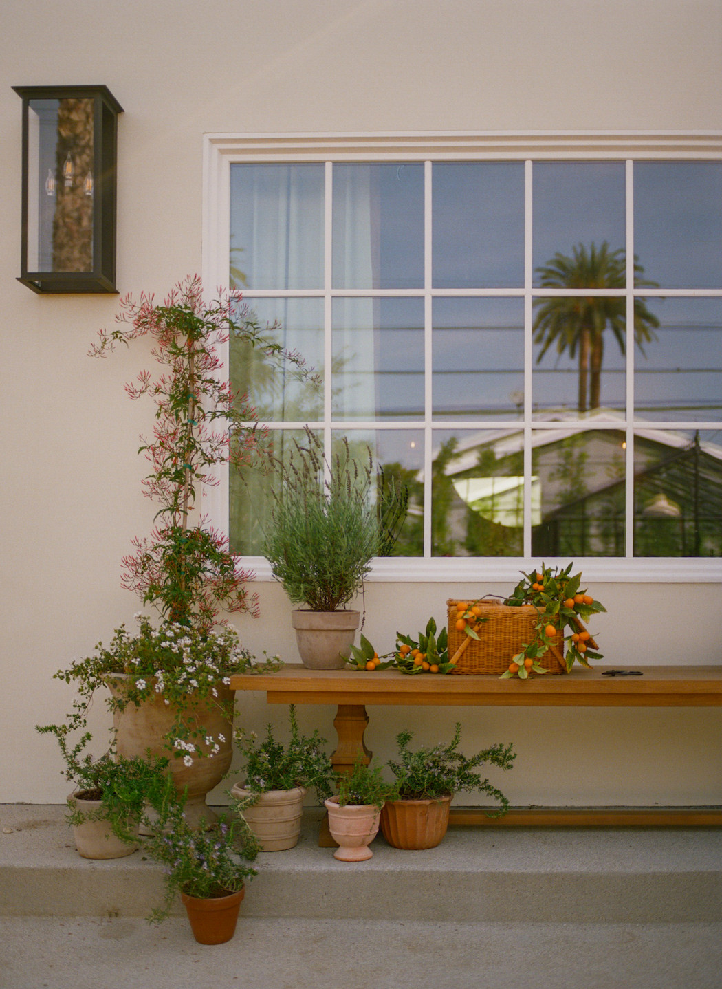 Mandi's West Adams Hacienda (Exterior)
