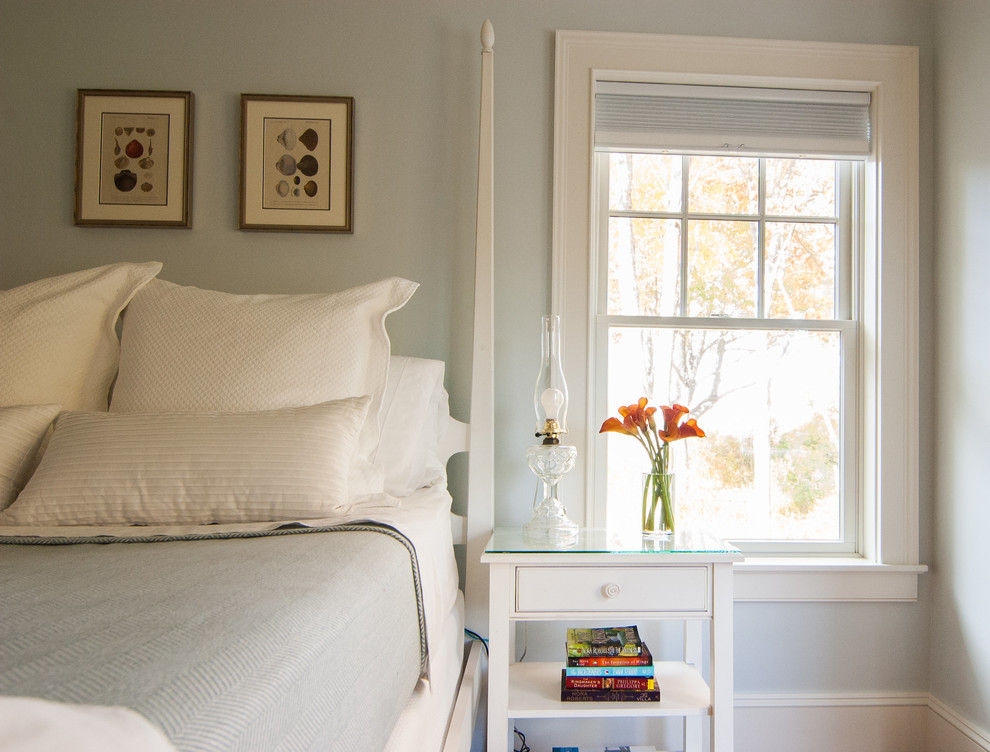 Design ideas for a mid-sized traditional guest bedroom in Portland Maine with blue walls and medium hardwood floors.