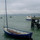 webuser_787535