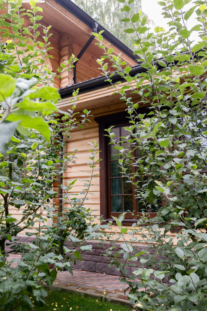 Лесной пейзаж