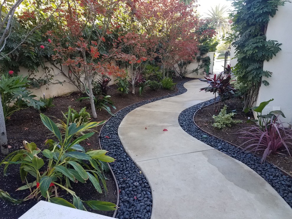 Inspiration for a mid-sized transitional courtyard garden in Orange County with concrete pavers.