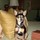 kathy_dragel