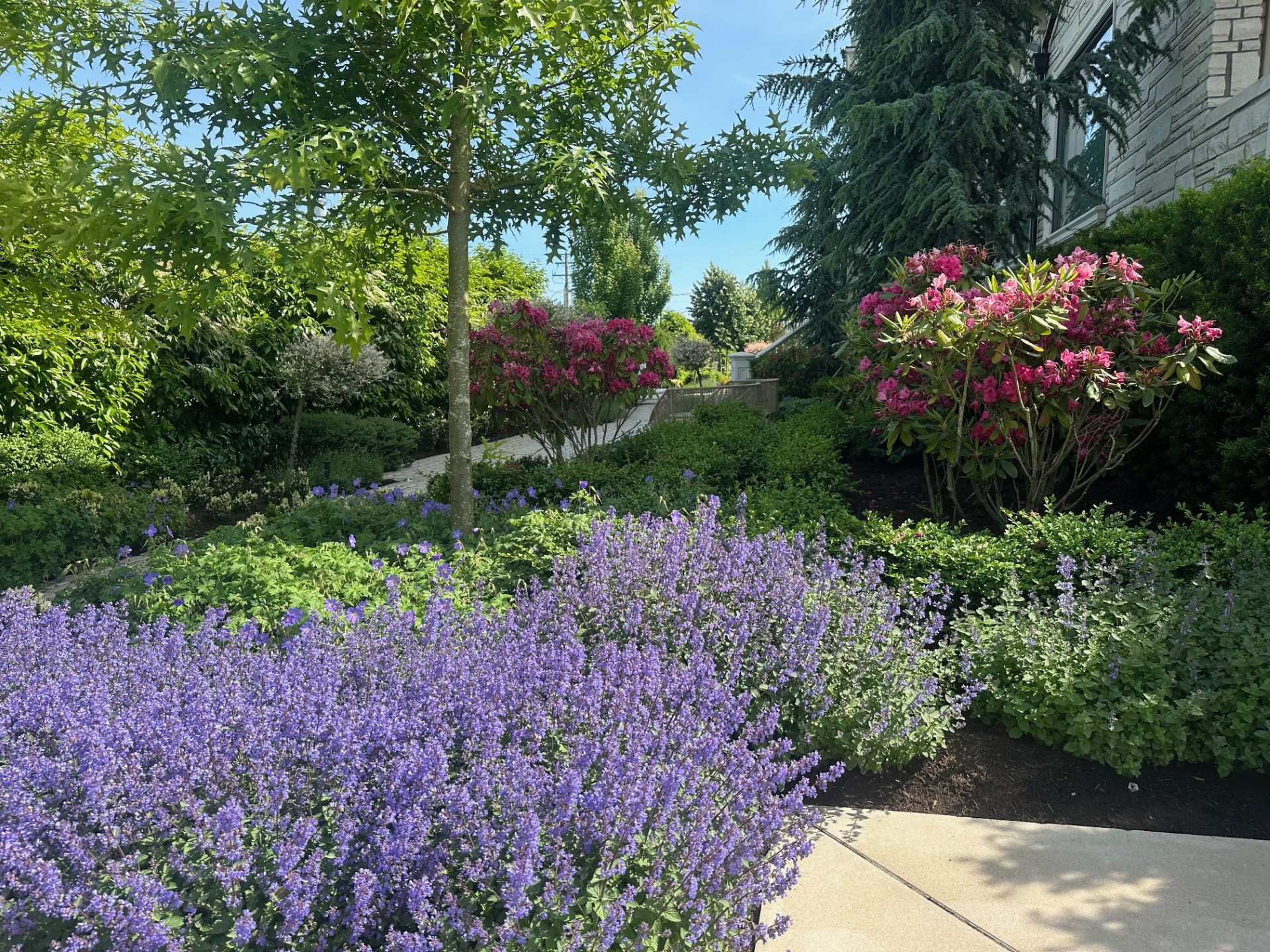 A French Themed Garden